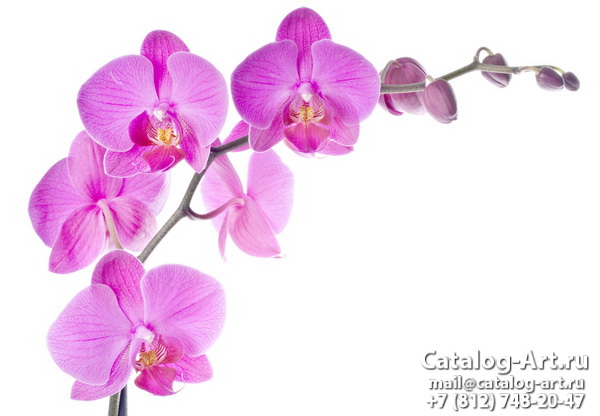 картинки для фотопечати на потолках, идеи, фото, образцы - Потолки с фотопечатью - Розовые орхидеи 90